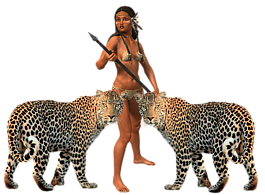 女子,虎,amazone