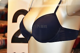 文胸,兩個,歡聚