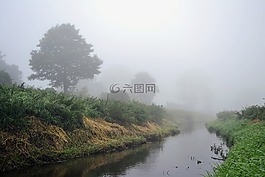 霧,景觀,河