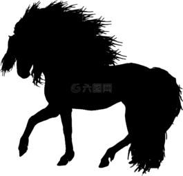 馬,長(zhǎng)長(zhǎng)的頭發(fā),側(cè)影