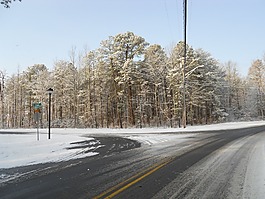 雪視圖,樹,街