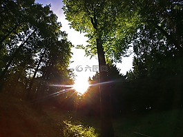 太陽,背光,性質(zhì)