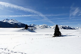 雪地,山,高恩山