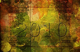 年份,2010,酒