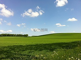自然,天空,草