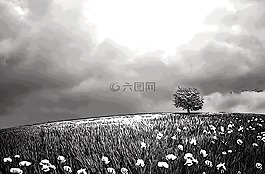 漫畫樹,野生,草