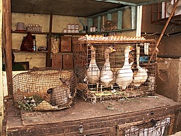 市場攤位,野兔,鵝