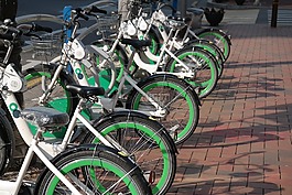 自行車,路,公園的