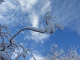 冬季,天空,雪