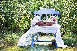 藍莓,夏天,水果