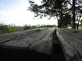 訂單,下午,naturesa