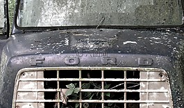 福特,卡車,古董