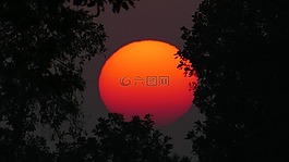 日落,紅色,天空