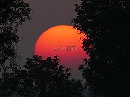 日落,红色,天空