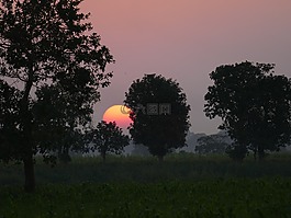 日落,红色,天空