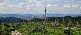 山,熱,遠足徑