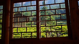 茶館,窗口,綠