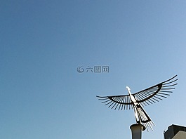 鳥,金屬,留白
