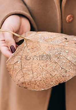 工作表,秋季,金色的秋天