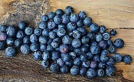 蓝莓,浆果,水果