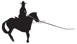 马,体育