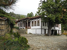 首頁,白,建設(shè)