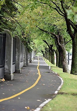 自行车道,公园,城市