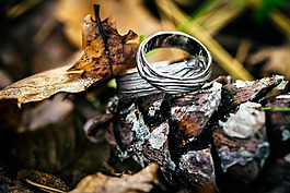 婚禮,環(huán),秋季