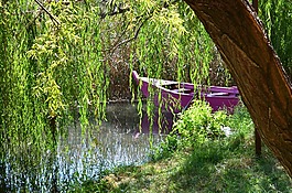 小船,拉古那,河