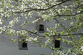 莫斯科,建設(shè),春