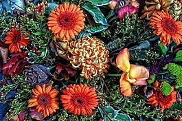 花束,鮮花,安排