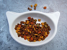 猫,食品,宠物食品