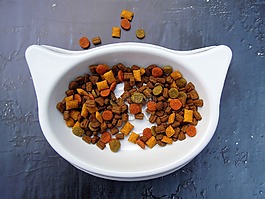 猫,食品,宠物食品