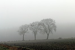 霧,秋季,性質(zhì)