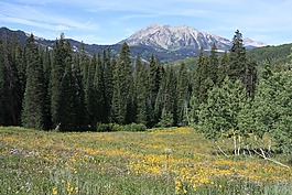 山,森林,科羅拉多州