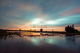 麦田,房子的外面。,泰国