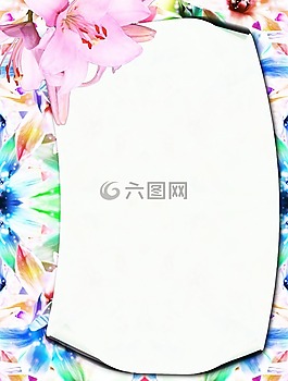 文具,豐富多彩,蘭花