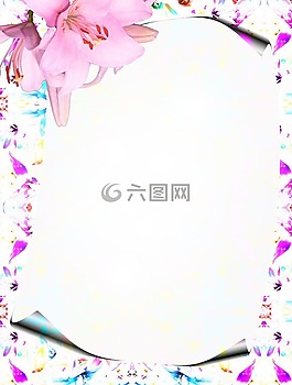 文具,豐富多彩,蘭花
