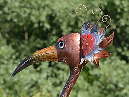 極樂鳥,鳥,花園