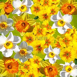 图形,黄水仙,复活节