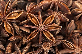 anis,香料,steranijs