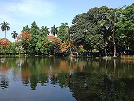 何大爺的湖,湖,越南