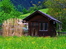 木質小屋,干蘆葦,綠色的田野