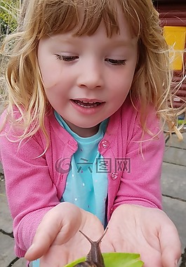 蝸牛,葉,手