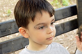孩子,男孩,p