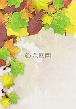 葉子,豐富多彩,秋季