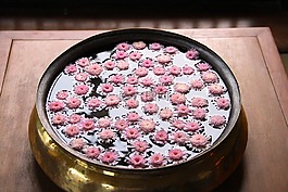 粉红色,鲜花,碗