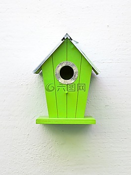 鳥舍,綠色,鳥類