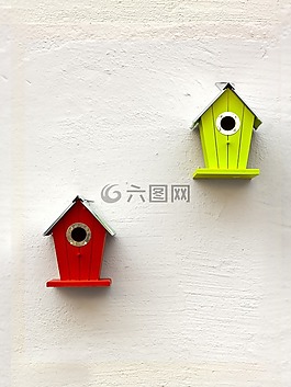 鳥舍,綠色,鳥類