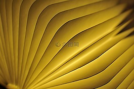 燈,光,照明
